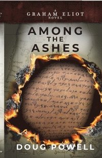 bokomslag Among the Ashes