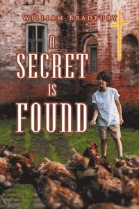 bokomslag Secret is Found