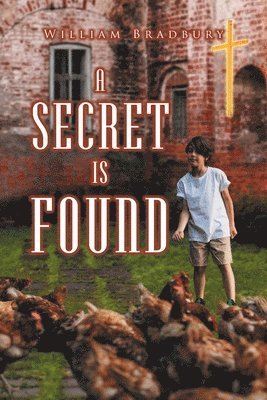 bokomslag A Secret is Found