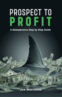 bokomslag Prospect to Profit, A salespersons step by step guide