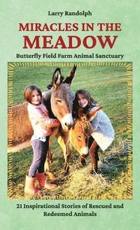 bokomslag Miracles in the Meadow, Butterfly Field Farm Animal Sanctuary