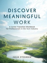 bokomslag Discover Meaningful Work