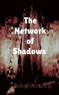 bokomslag The Network of Shadows