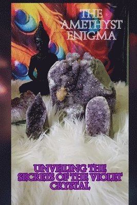 bokomslag Amethyst Enigma