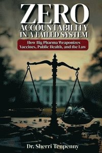 bokomslag Zero Accountability in a Failed System
