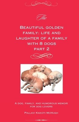 bokomslag The Beautiful Golden Family Part 2