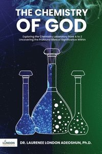 bokomslag Chemistry of God