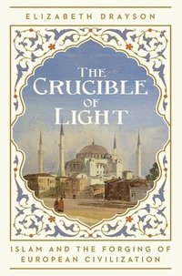 bokomslag The Crucible of Light