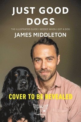 Just Good Dogs: The Illustrated Guide I Needed When I Got a Dog
