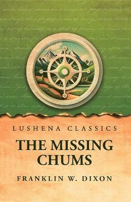 bokomslag Missing Chums