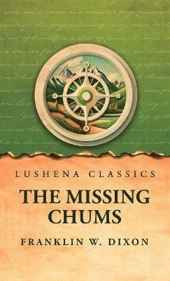 bokomslag Missing Chums
