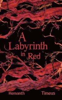 bokomslag Labyrinth in Red