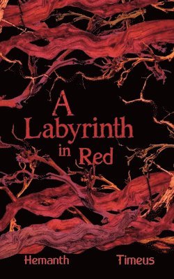 bokomslag Labyrinth in Red