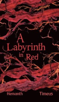 bokomslag Labyrinth in Red