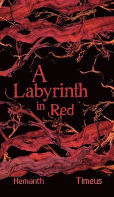 bokomslag Labyrinth in Red
