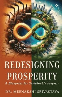bokomslag Redesigning Prosperity