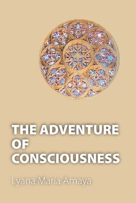 bokomslag Adventure of Consciousness