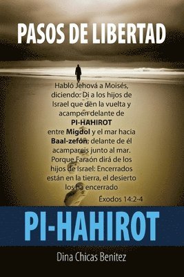bokomslag Pasos de Libertad