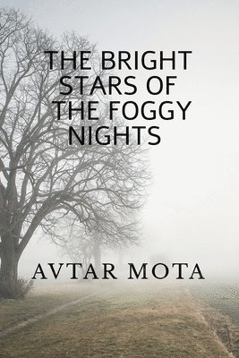 Bright Stars of the Foggy Nights
