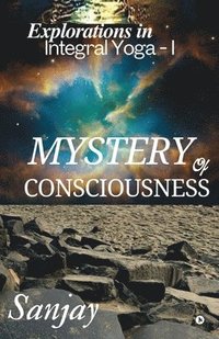 bokomslag Mystery of Consciousness