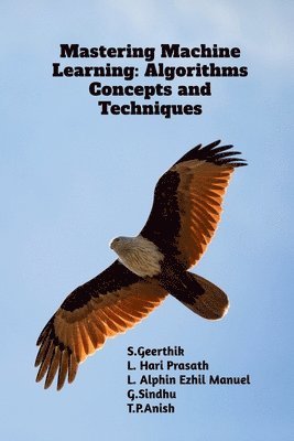 bokomslag Mastering Machine Learning