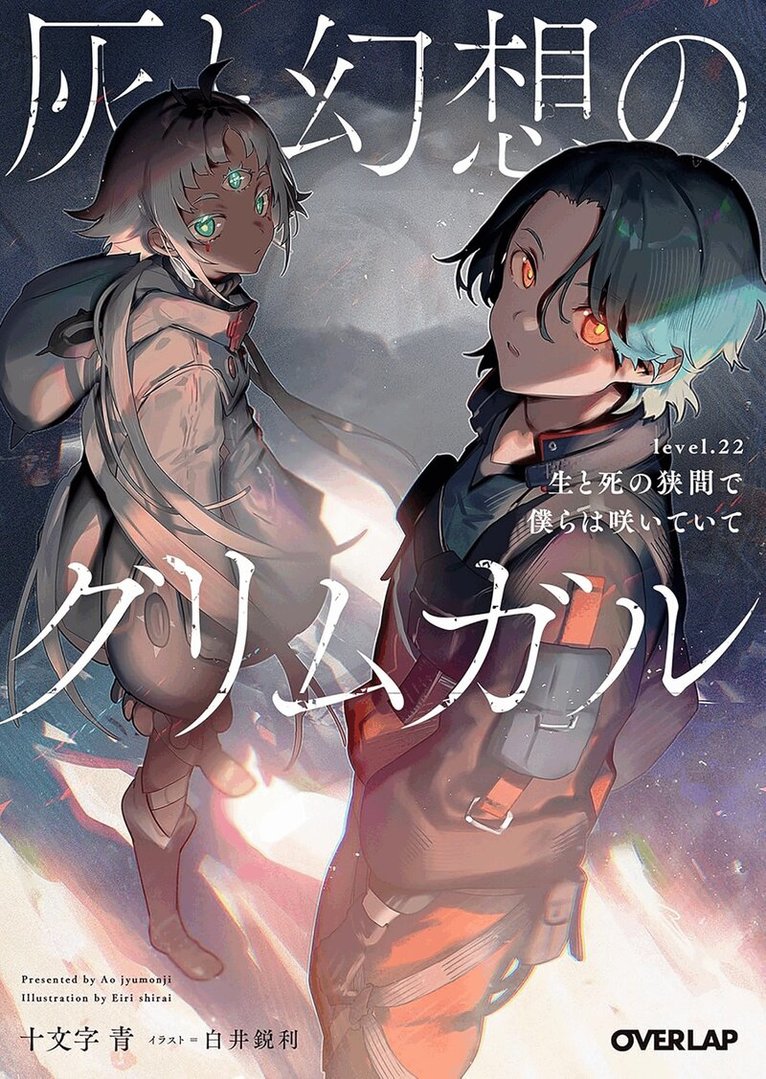 Ao Jyumonji - Grimgar of Fantasy and Ash (Light Novel) Vol. 22, Häftad