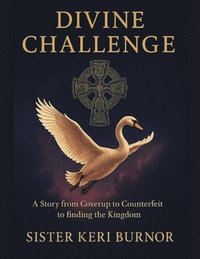 bokomslag Divine Challenge
