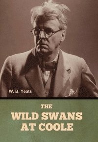 bokomslag Wild Swans at Coole