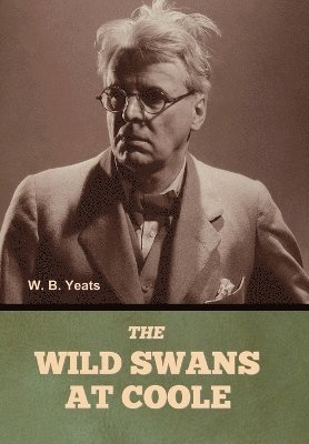bokomslag Wild Swans at Coole