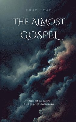 bokomslag Almost Gospel