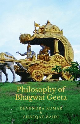 bokomslag Philosophy of Bhagwat Geeta