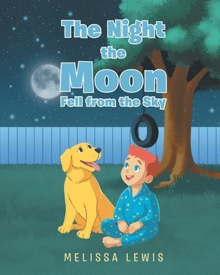 Melissa Lewis - Night the Moon Fell from the Sky, Häftad