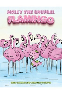 bokomslag Molly the Unusual Flamingo