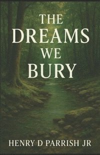 bokomslag Dreams We Bury
