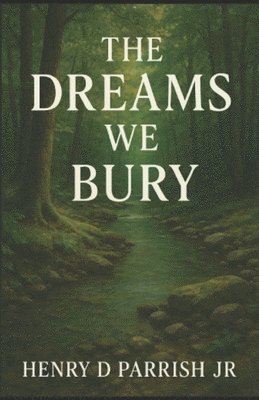 bokomslag Dreams We Bury