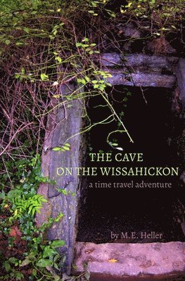 bokomslag Cave on the Wissahickon