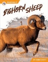Abby Doty - Bighorn Sheep, Häftad