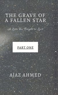 bokomslag Grave of a Fallen Star