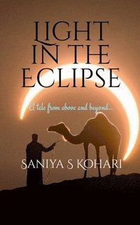 bokomslag Light in the Eclipse