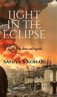 bokomslag Light in the Eclipse