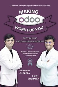 bokomslag Making Odoo Work For You