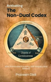 bokomslag Activating the Non-Dual Codex