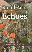 bokomslag Small Acts. Endless Echoes