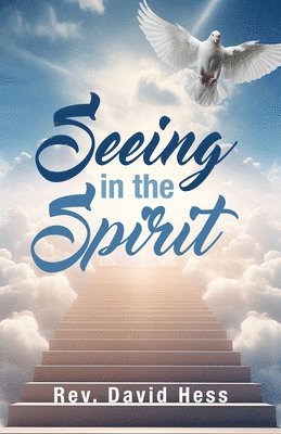 David Hess - Seeing in the Spirit, Häftad