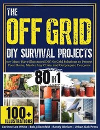 bokomslag off Grid Diy Survival Projects