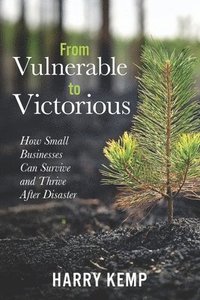bokomslag From Vulnerable to Victorious