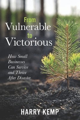 bokomslag From Vulnerable to Victorious