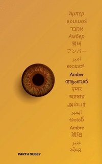 bokomslag Amber