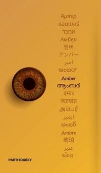 bokomslag Amber