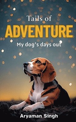 bokomslag Tails of Adventure